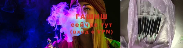 эйфоретик Баксан