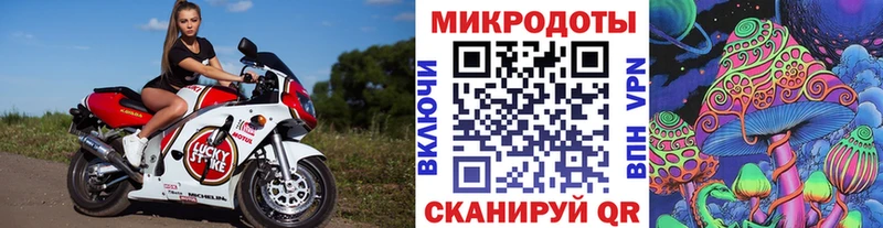 Галлюциногенные грибы MAGIC MUSHROOMS  купить закладку  Заозёрск 